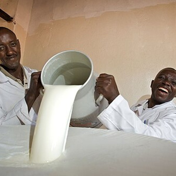 Mayuraa A2 Milk
