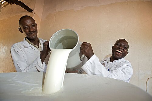 Mayuraa A2 Milk