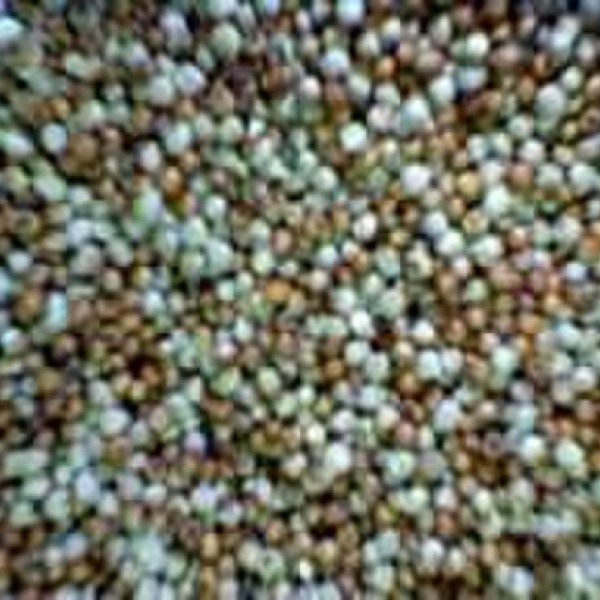 Mayuraa Millets