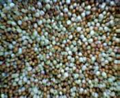 Mayuraa Millets